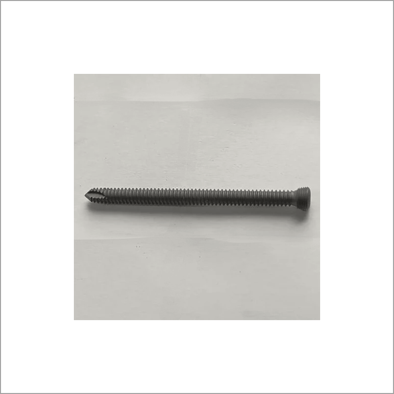 Exporter of Trauma | Locking Screw from India